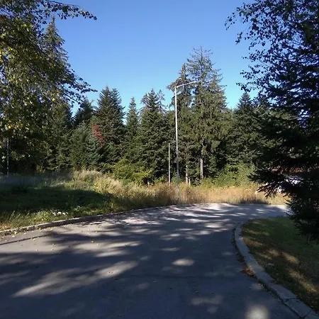 Borovest Garden. Borovets