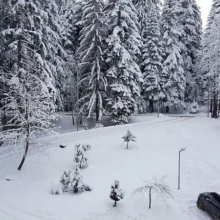 Borovest Garden. Διαμέρισμα