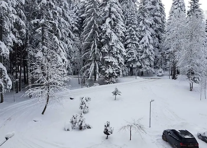 Borovest Garden. Apartamento